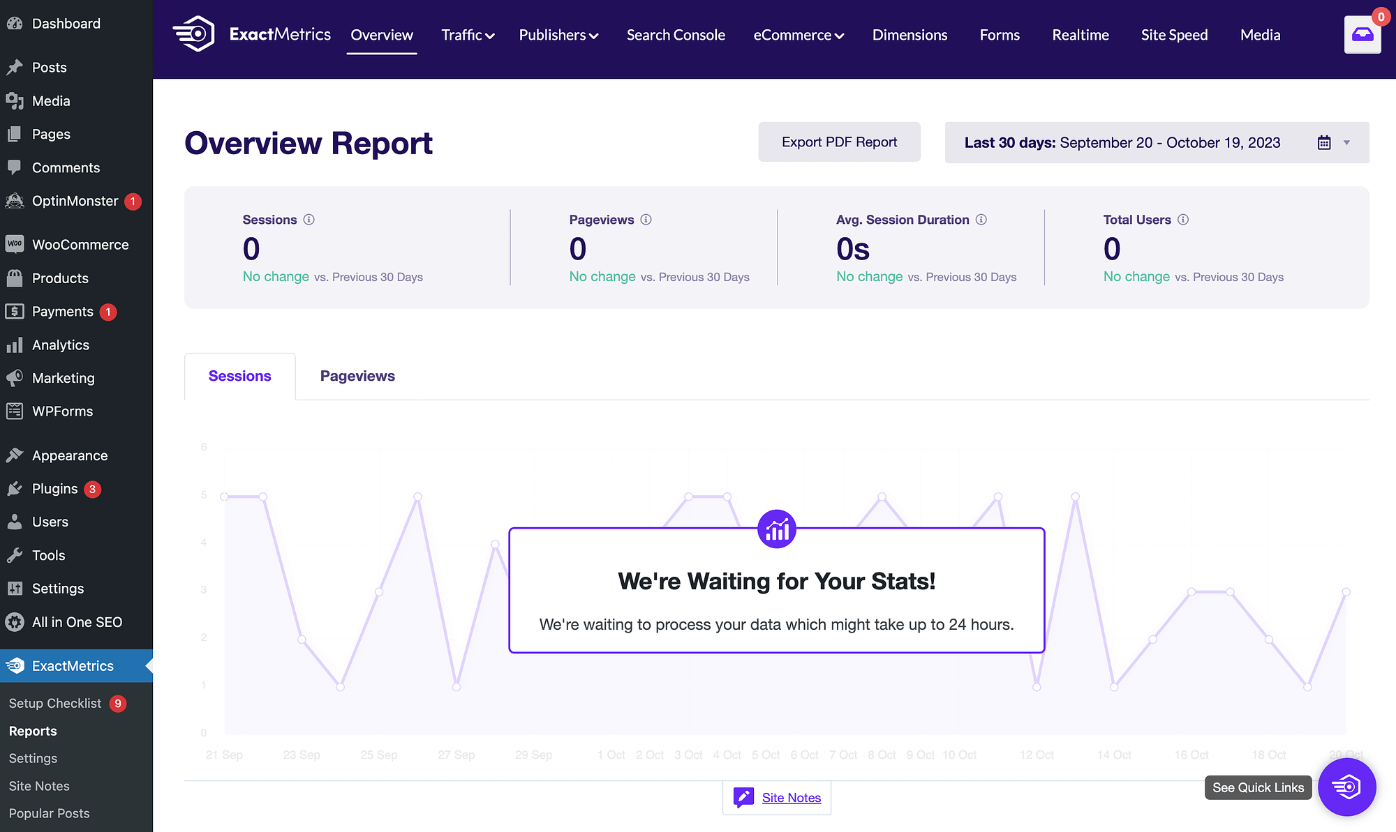 ExactMetrics'in raporları.