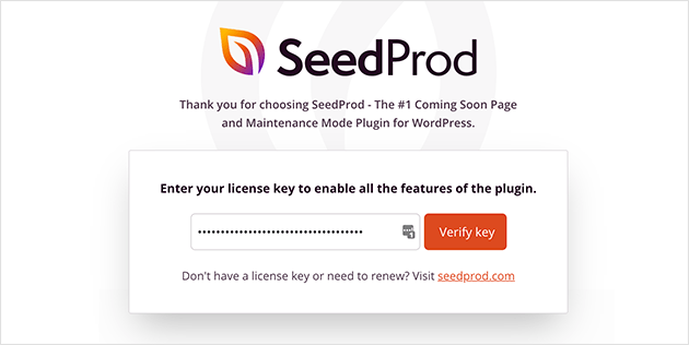 Insira a chave de licença do SeedProd