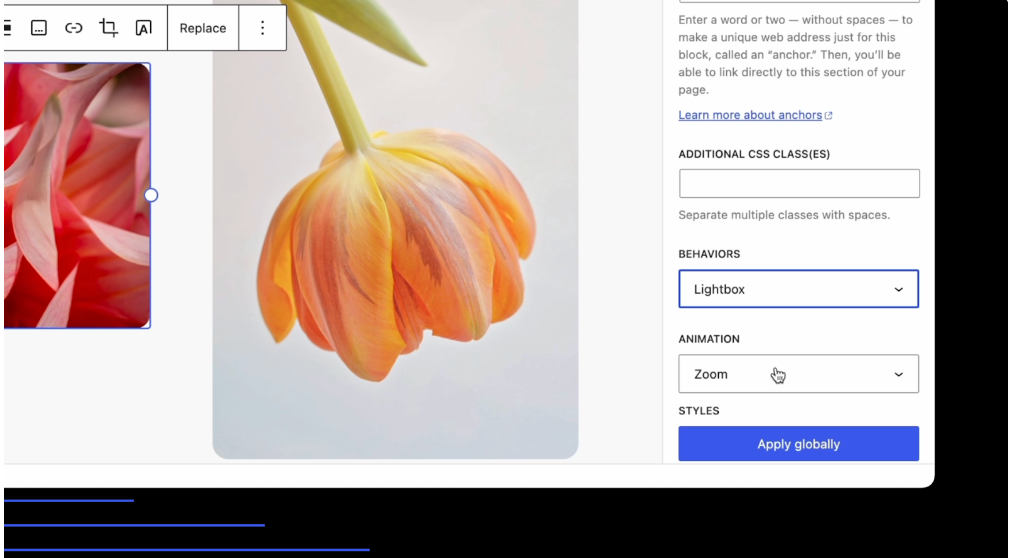 Fereastra pop-up lightbox în WordPress 6.4