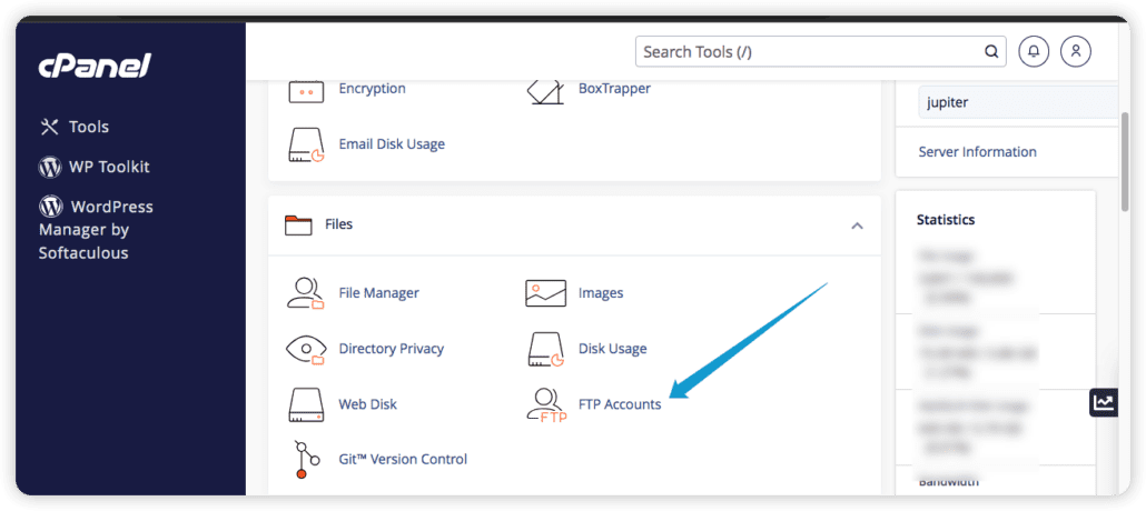 cPanel FTP'si