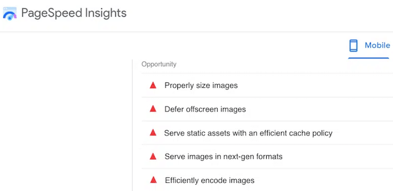 PageSpeed Insights からの画像関連の問題 - 出典: PageSpeed Insight