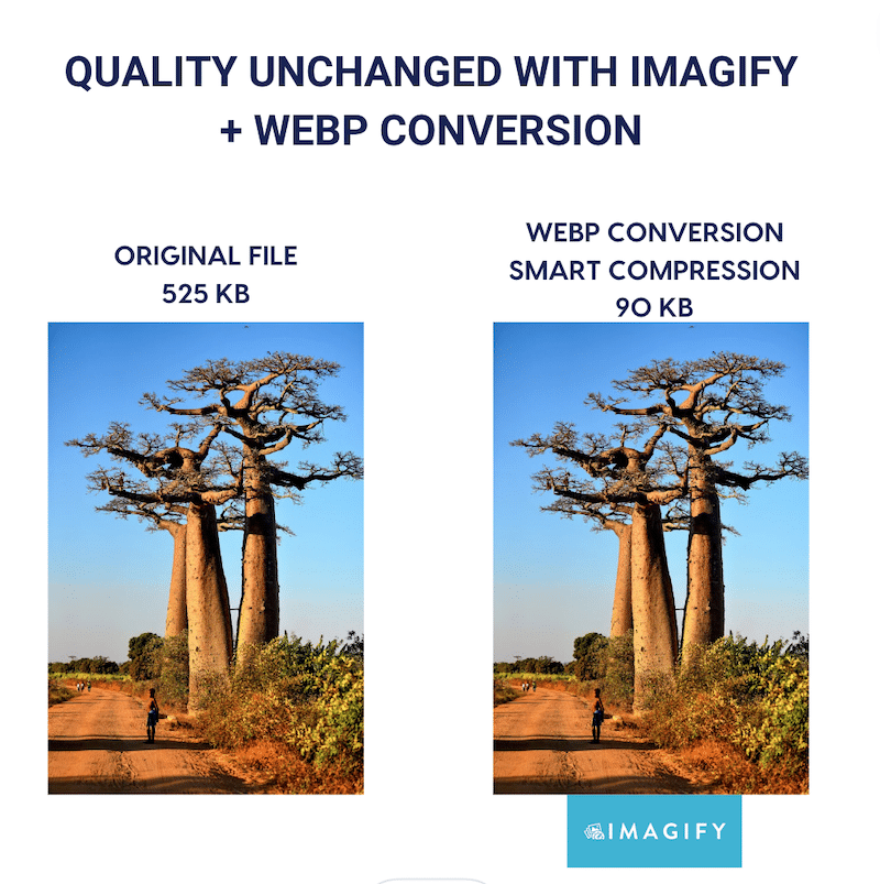 Dimensioni file più piccole e conversione WebP ma qualità inalterata - Fonte: Imagify