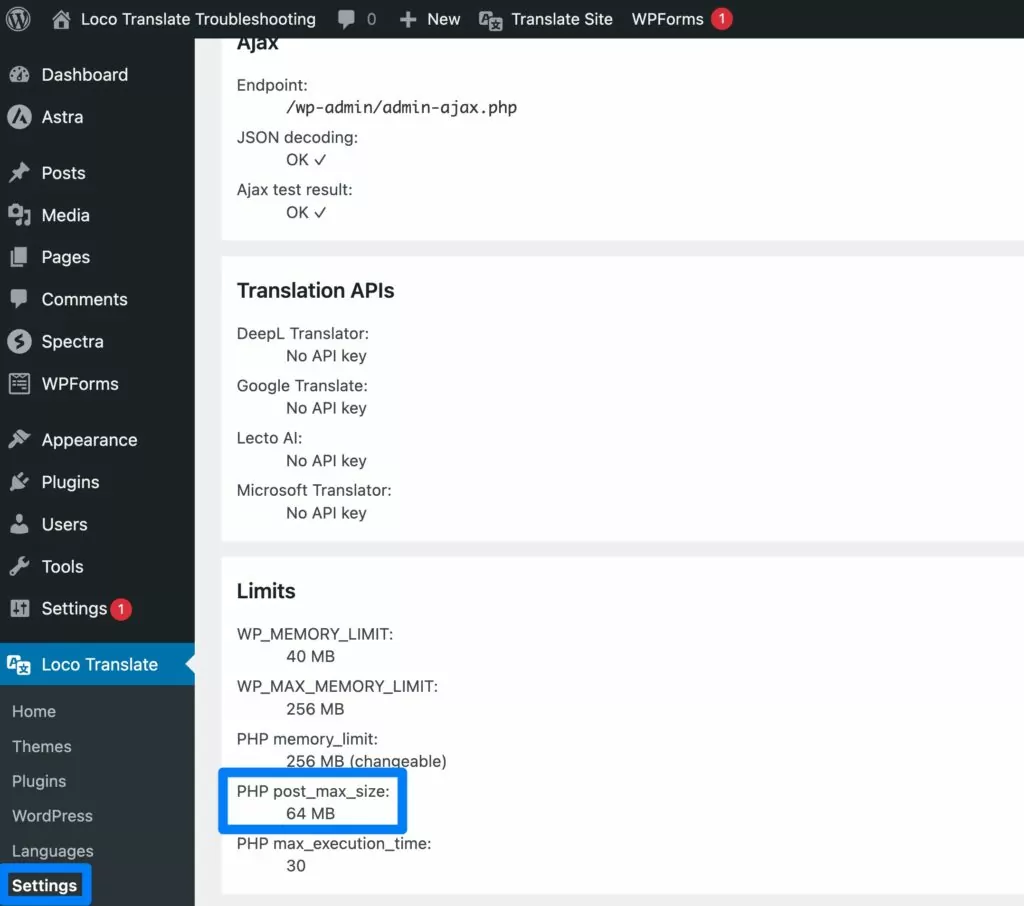 Informasi debug Loco Translate