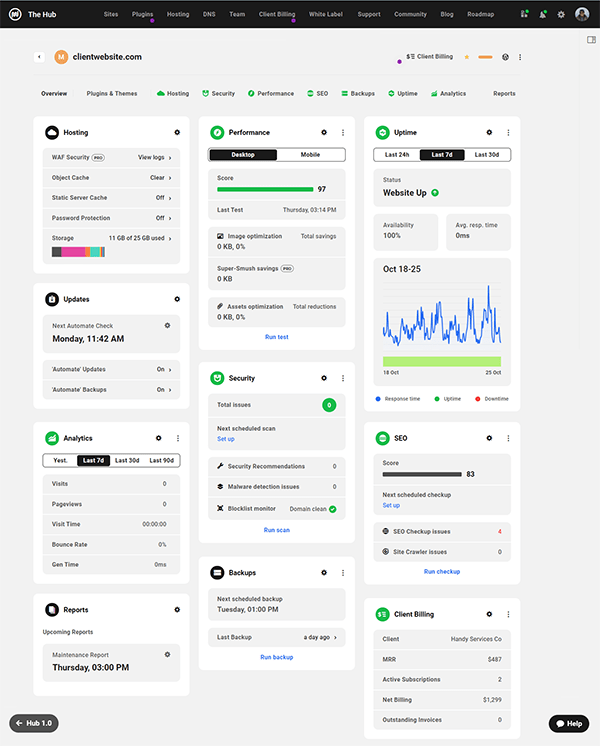 Sito client hub: pannello Panoramica