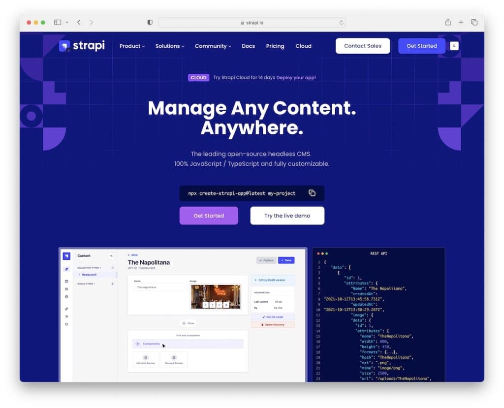 Strapi CMS для NextJS