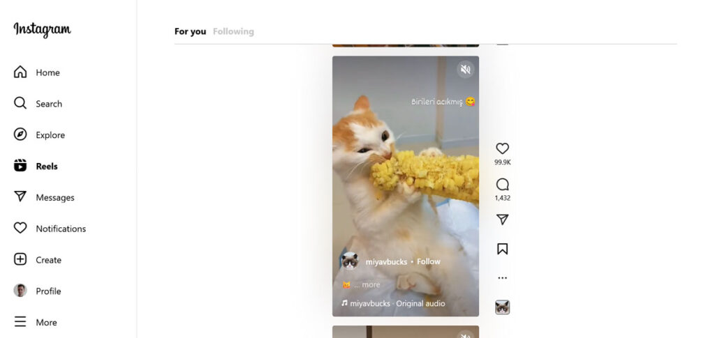 Esempio di bobine di Instagram