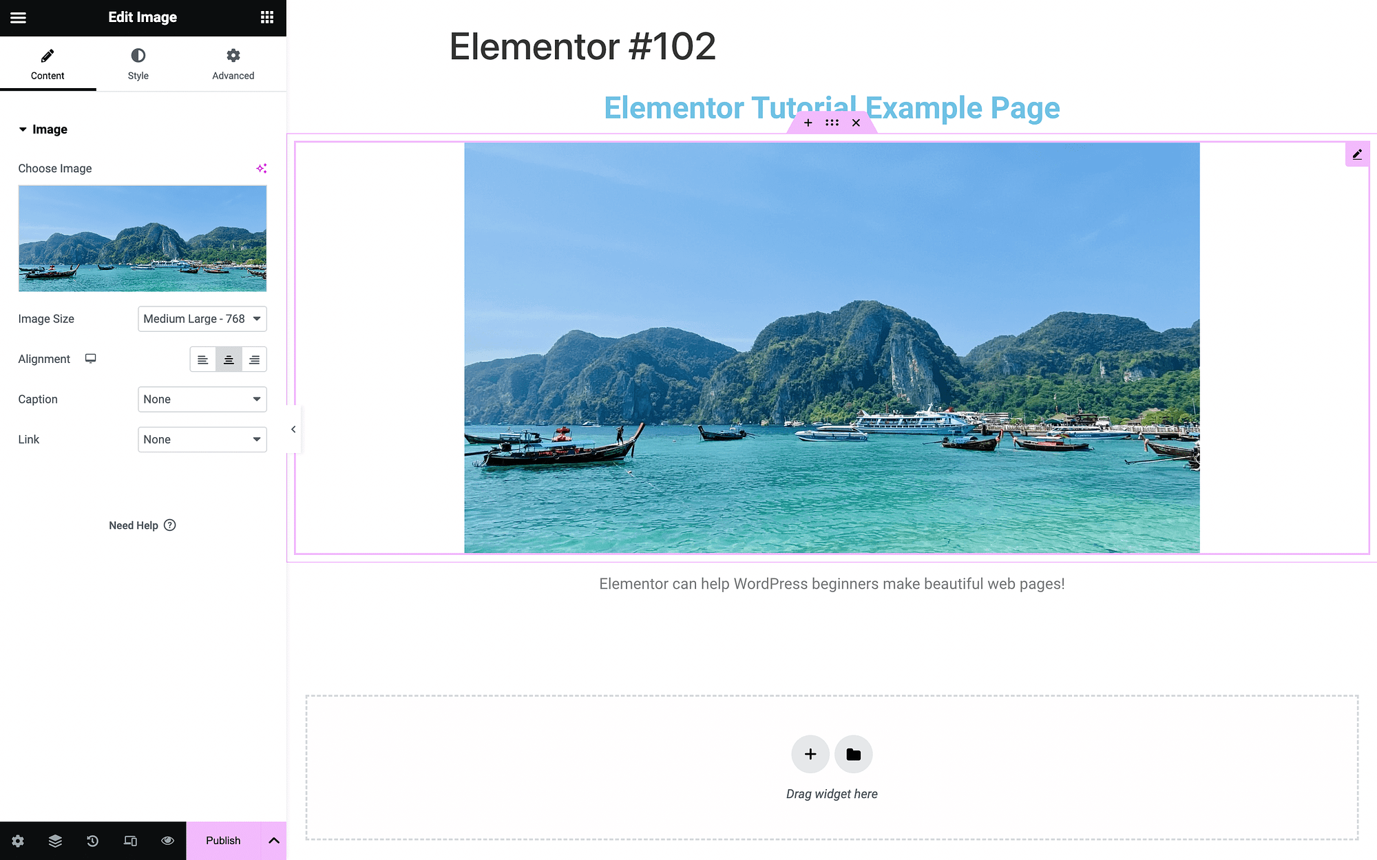 บทช่วยสอน Elementor เกี่ยวกับการเลือกรูปภาพสำหรับวิดเจ็ตรูปภาพของคุณ