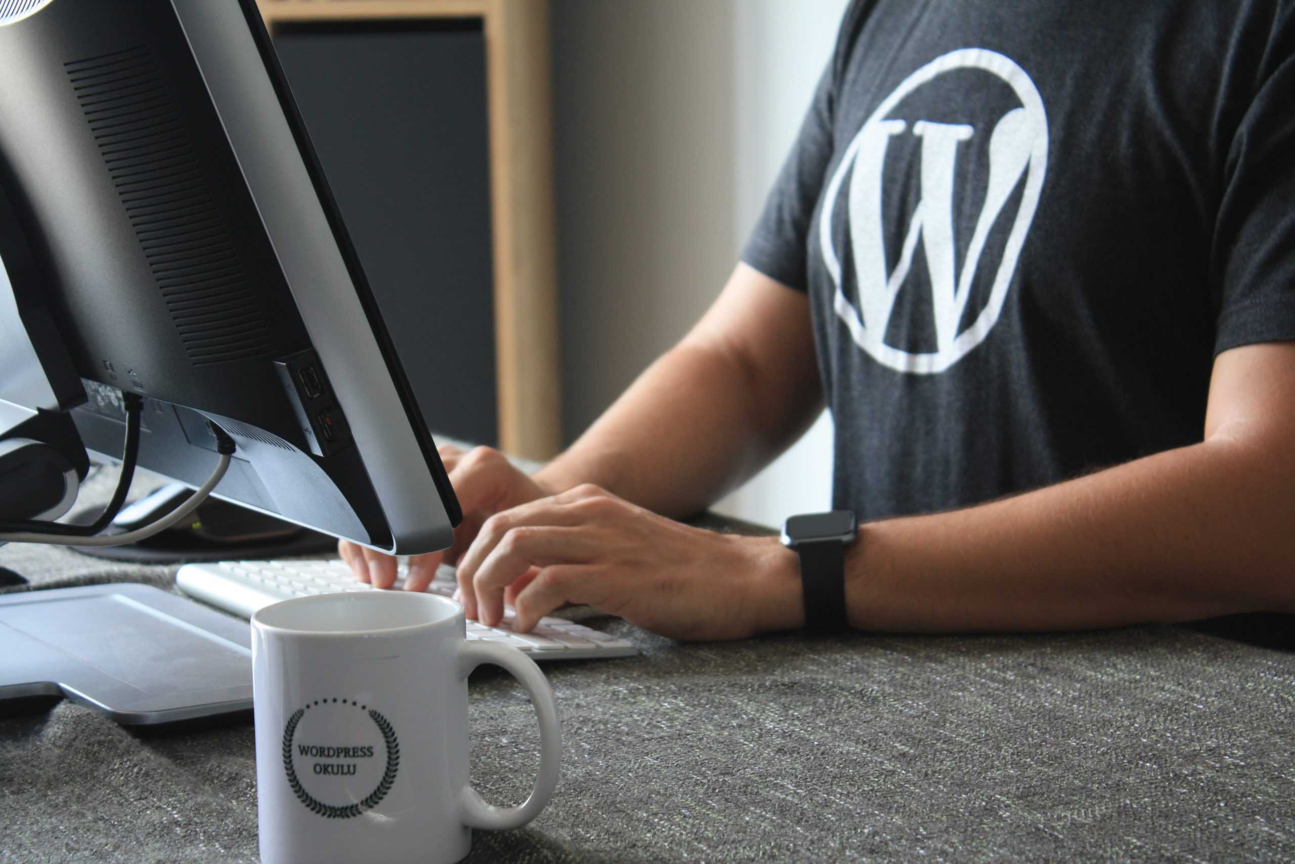 WordPress 开发