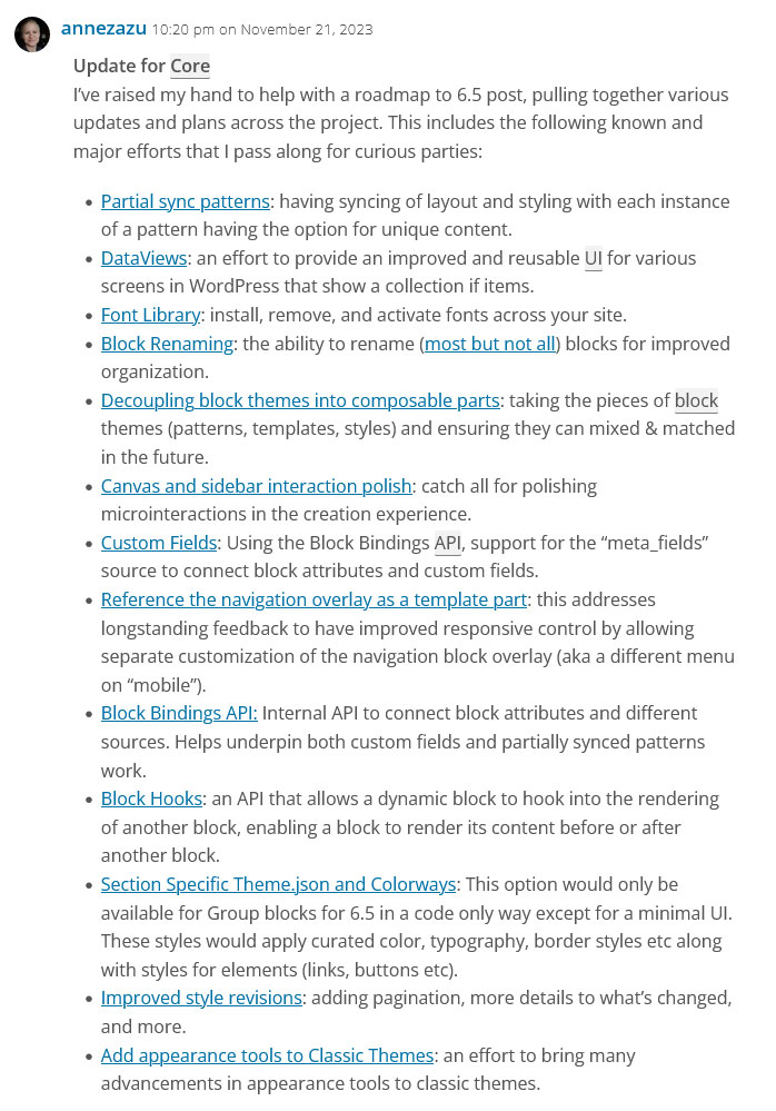 ปัญหา WordPress บนแผนงานสำหรับปี 2024