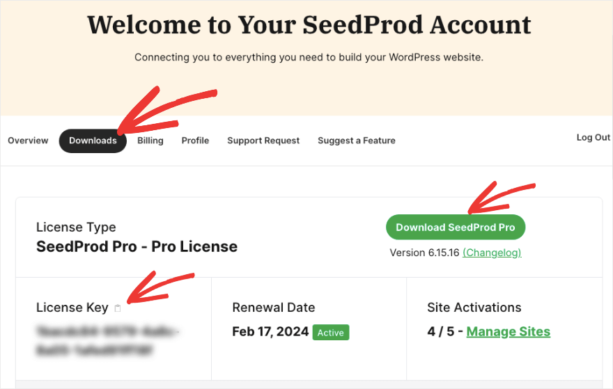 Descargar complemento en SeedProd