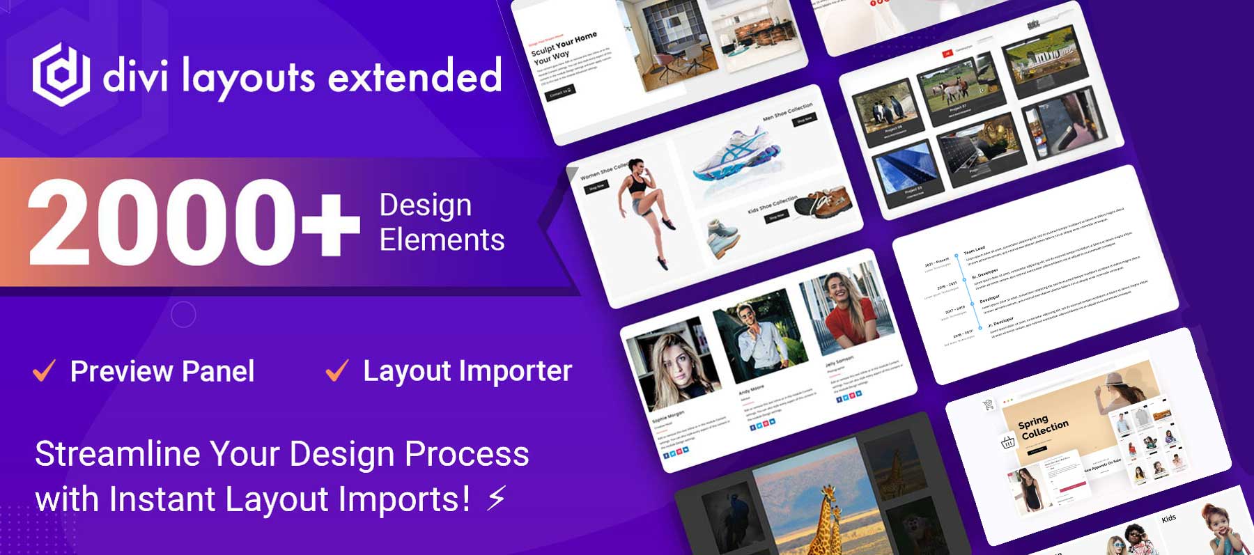 Divi Layouts extins