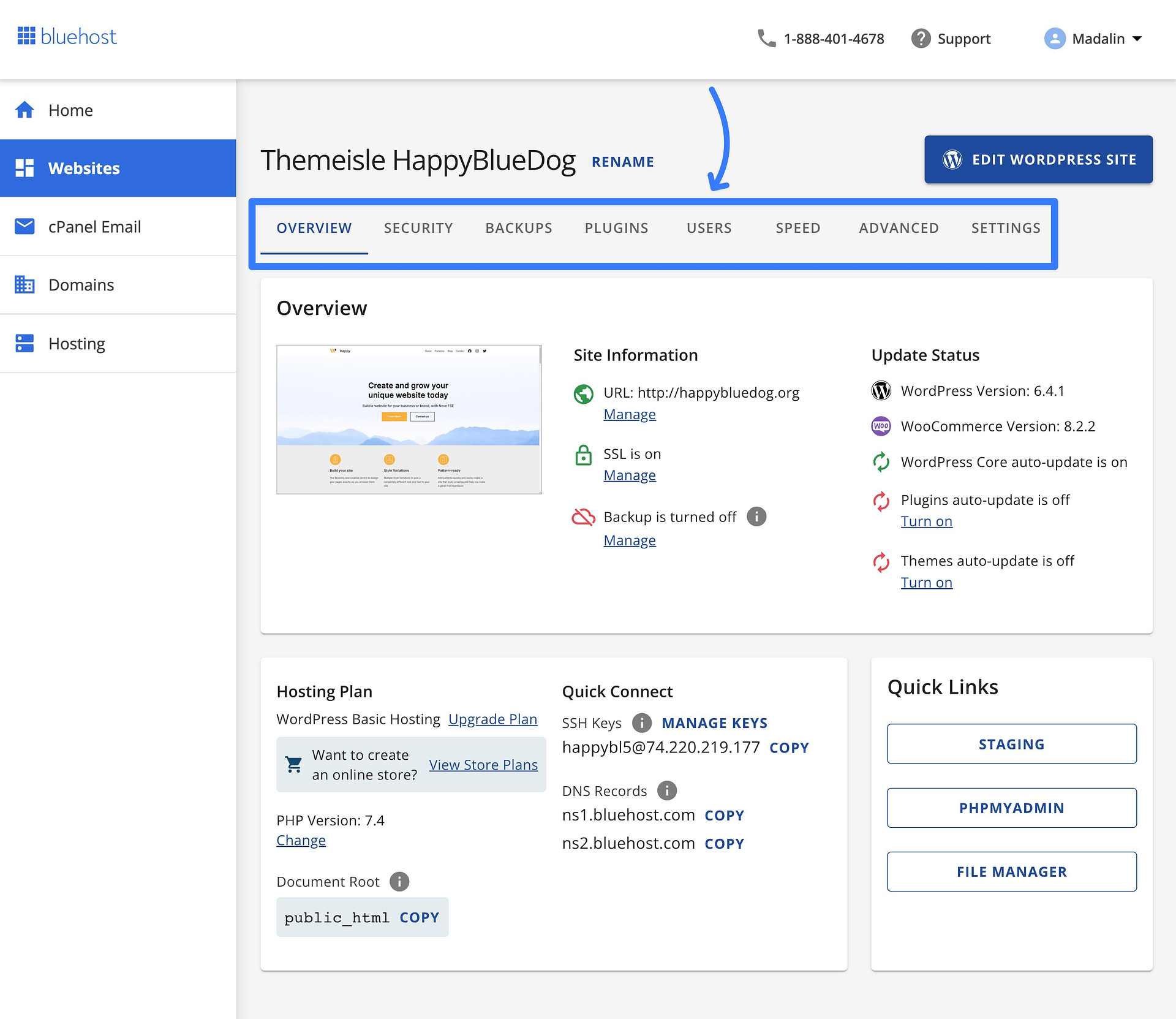 Bluehost 對網站儀表板區域的審查。