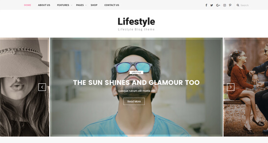 Lifestyle WordPress theme