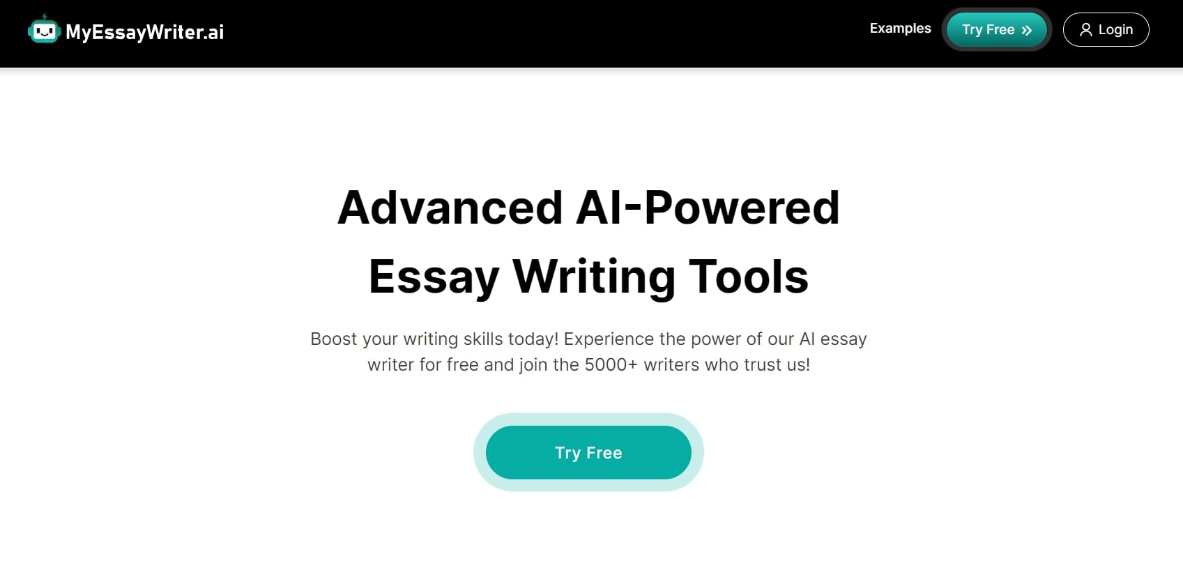 MyEssayWriter.ai 英雄部分