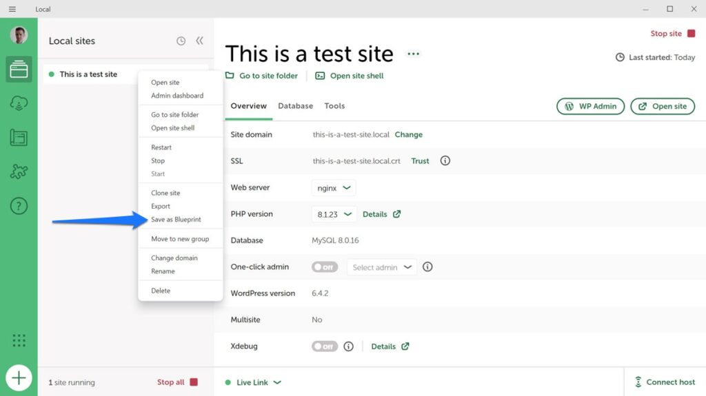 site-ul de salvare local ca plan