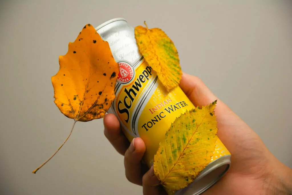 schweppes tonic water 误译示例