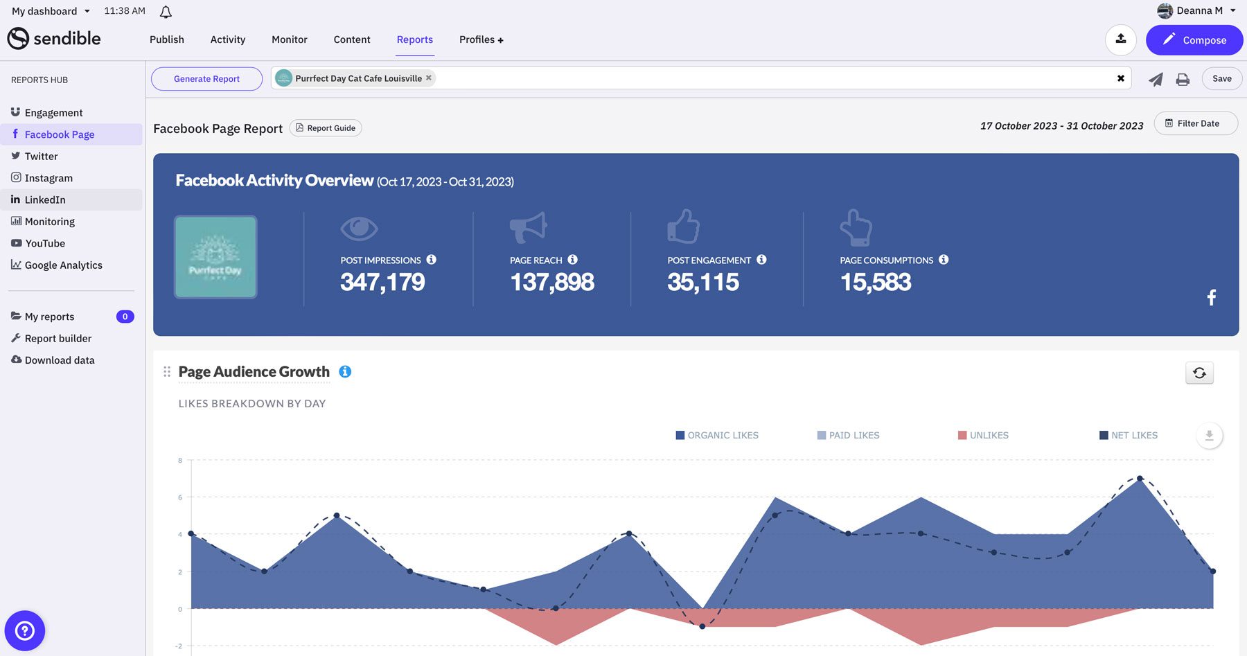 Facebook 專頁報告