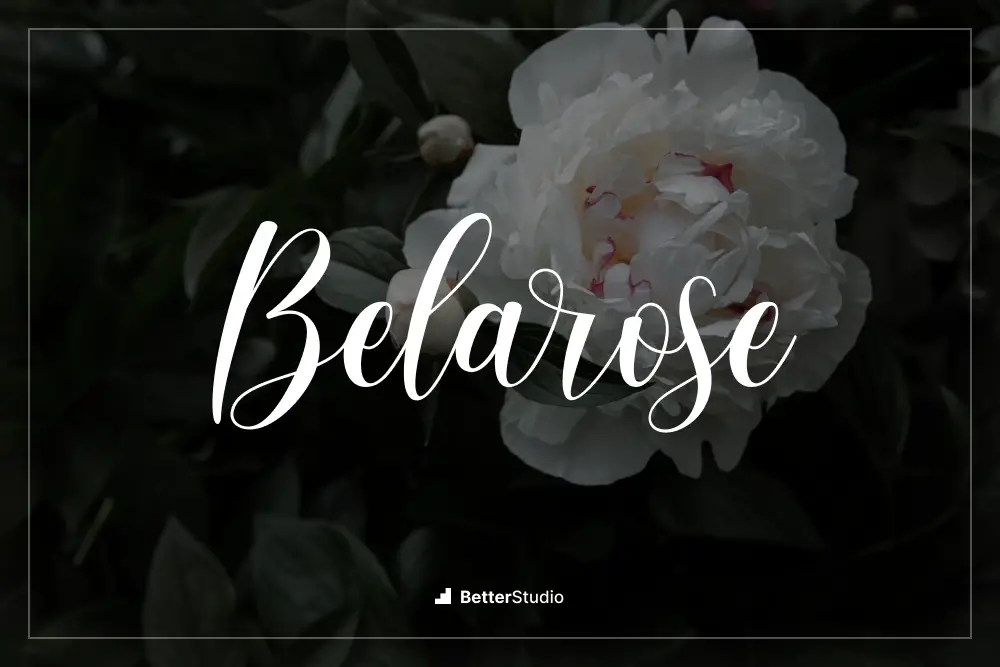 Belarose -