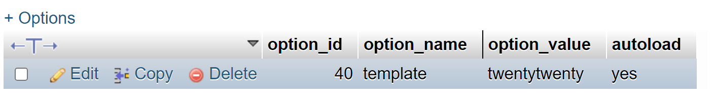 Intrarea șablonului în baza de date WordPress.