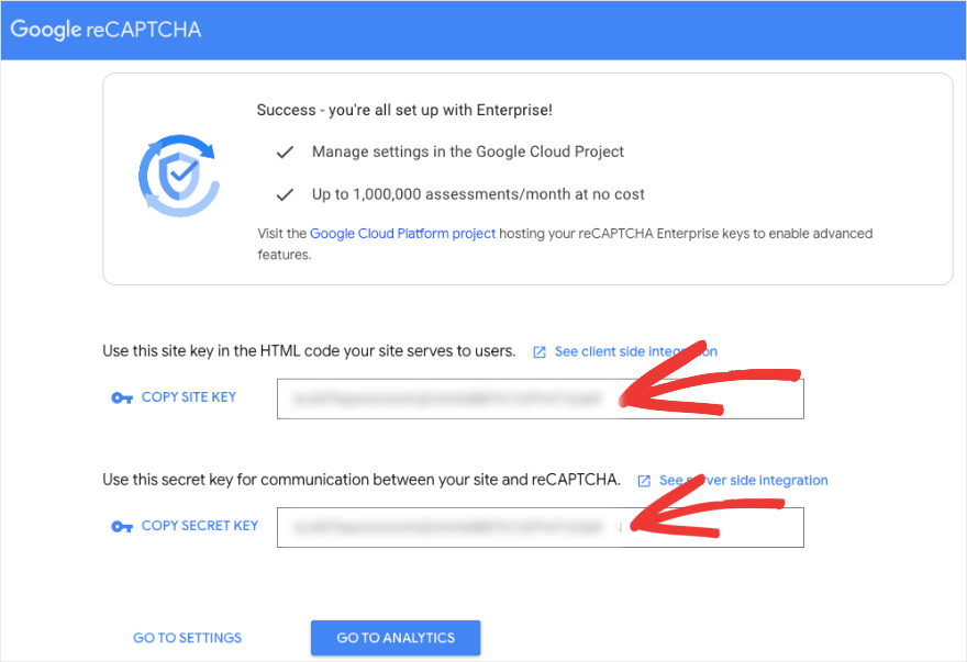 Copiați site-ul și cheia secretă în Google