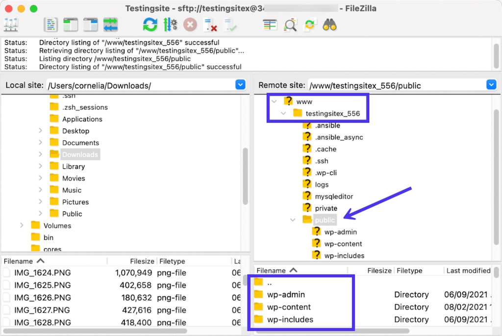 Filezilla-Navigationsoberfläche, die Ihnen beim Auffinden Ihres WordPress-Verzeichnisses hilft