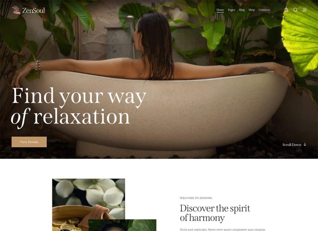 ZenSoul - Tema WordPress per salone spa e benessere