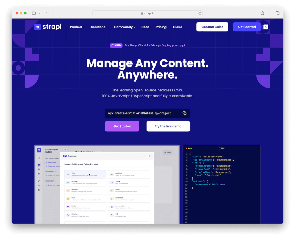 strapi statik site cms