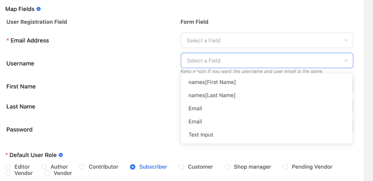 Fluent Forms 内のフォームへのフィールドのマッピング。