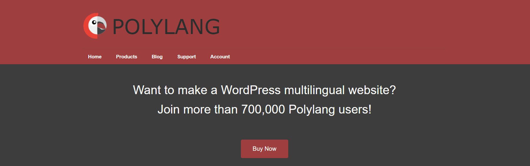 Polylang 홈페이지 - 2024년 1월