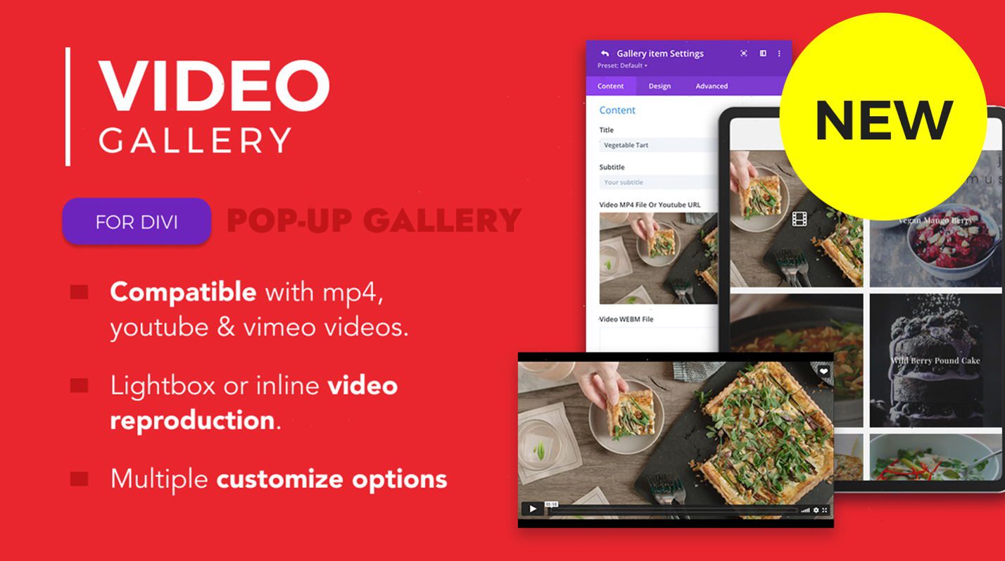 ベスト Divi ギャラリー プラグイン - Divi ビデオ ギャラリー セクションの注目の画像