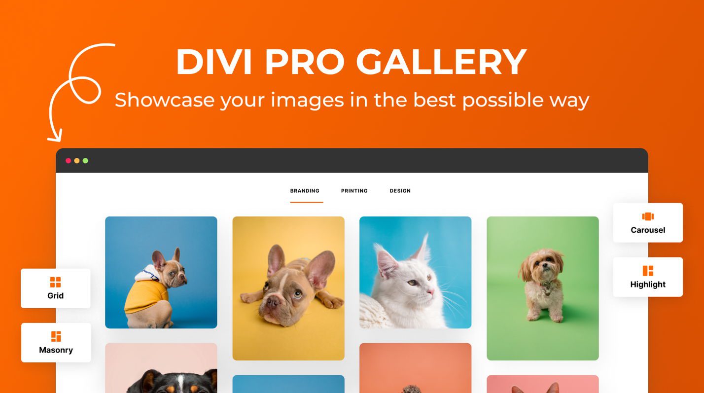 ปลั๊กอิน Divi Gallery ที่ดีที่สุด - ส่วนรูปภาพเด่นของ Divi Pro Gallery