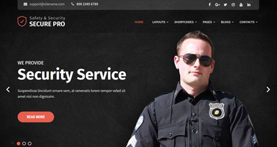 secure security WordPress theme