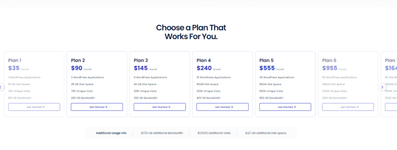 cloudways-otonom-fiyatlandırma planı