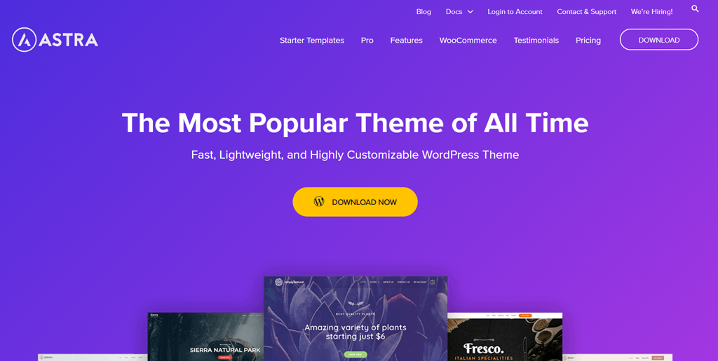 Best WordPress Themes