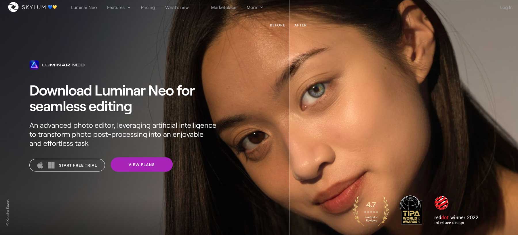 Luminar Neo 最高の AI フォトエディター