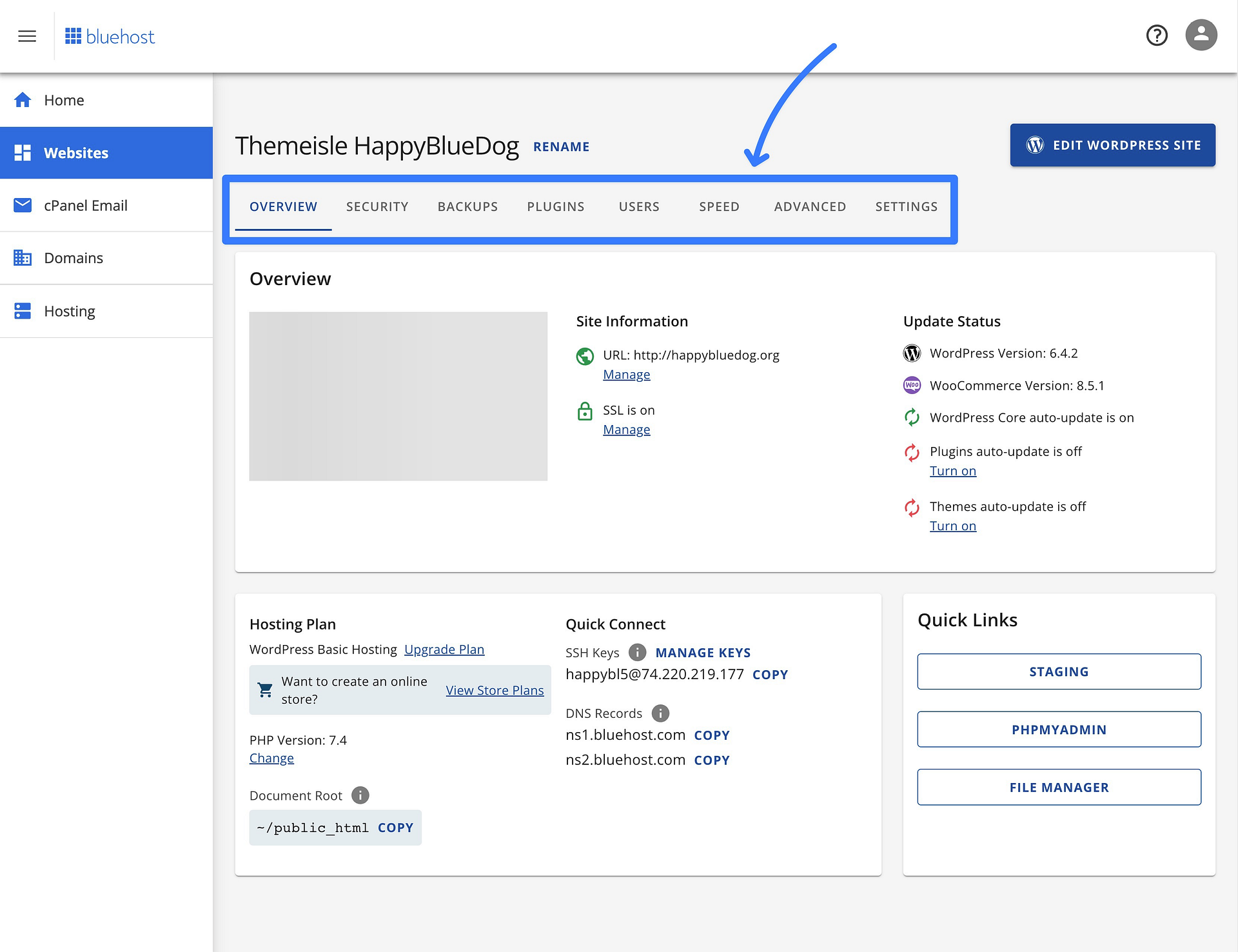 Painel personalizado do Bluehost.