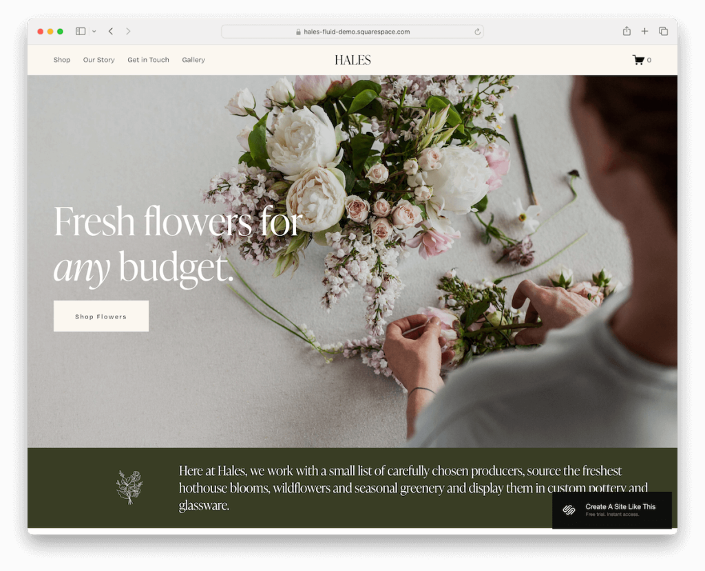 loja de modelos hales squarespace