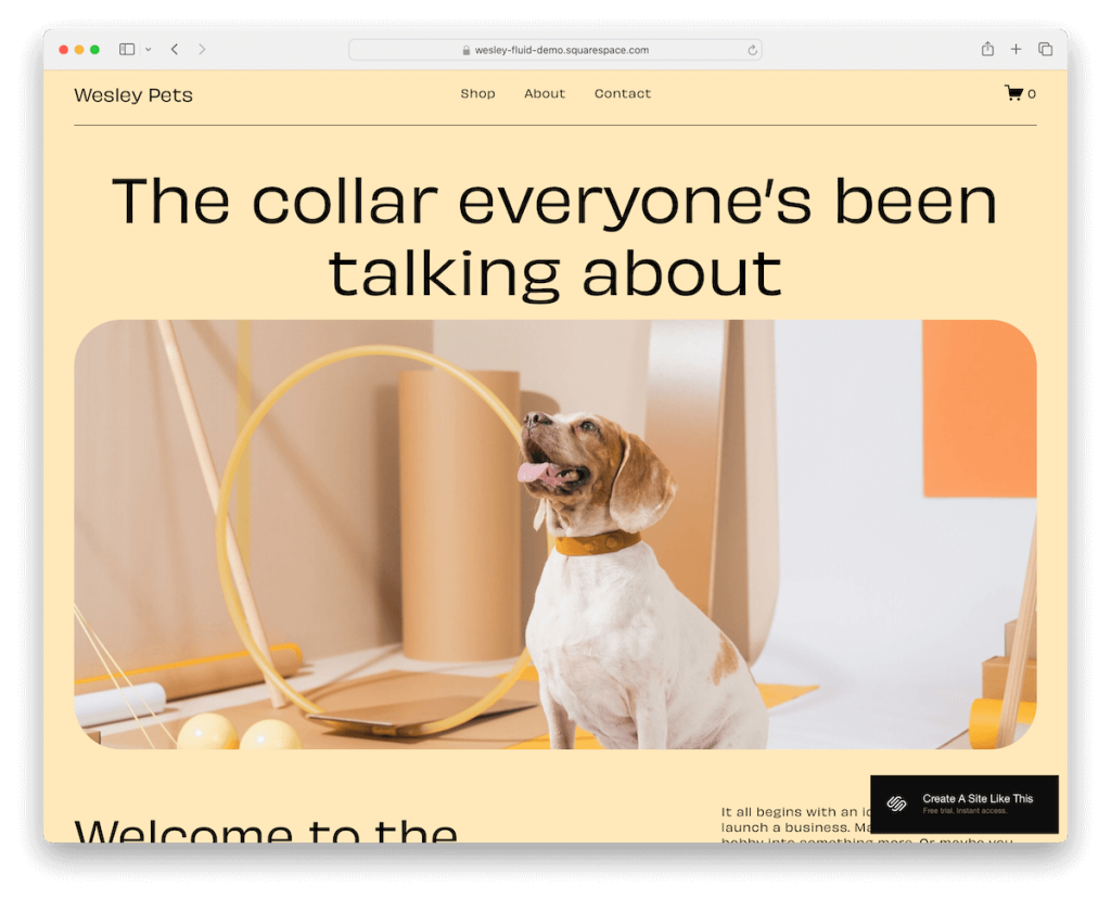 Шаблон электронной коммерции Wesley Squarespace