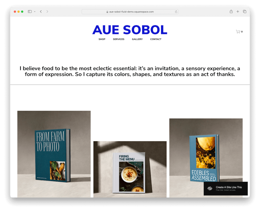 aue sobol boutique de modèles squarespace