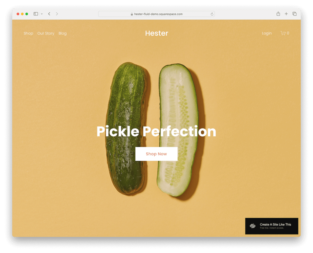 hester squarespace şablon mağazası