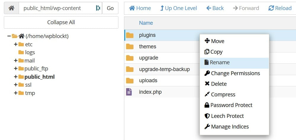 Rinominare la cartella dei plugin in File Manager