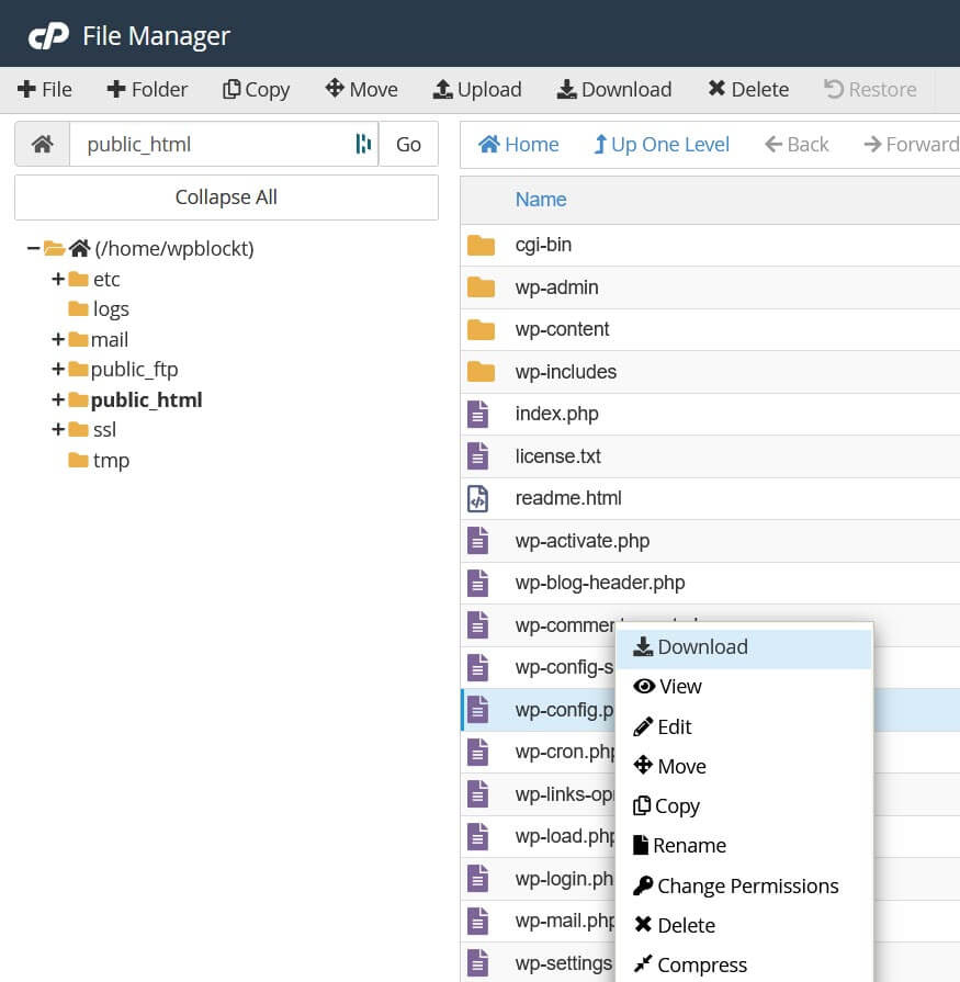 Scarica wp-config.php dal File Manager di cPanel