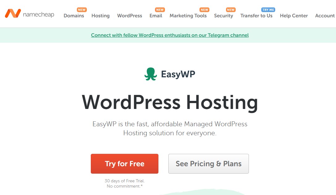 Găzduire WordPress Namecheap