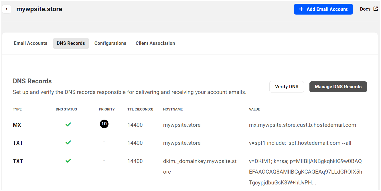 Менеджер DNS-записей WPMU DEV