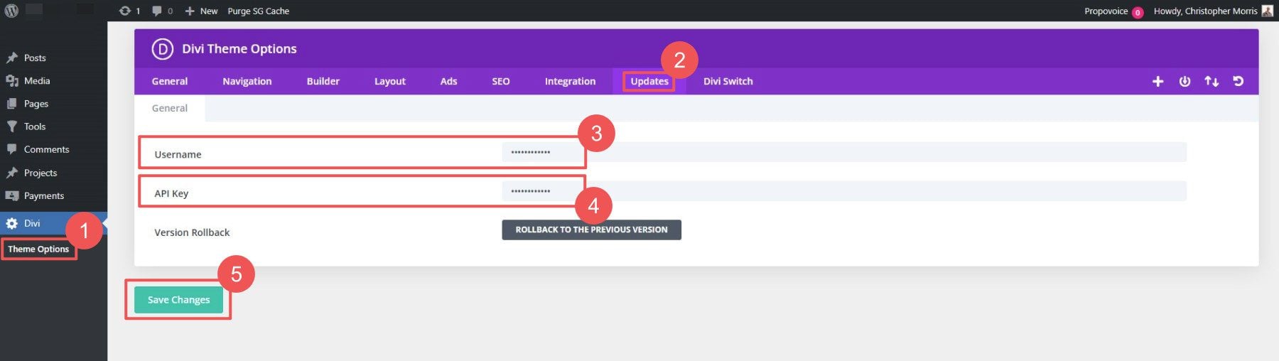 Divi Tempel UN dan API ke Panel Pembaruan