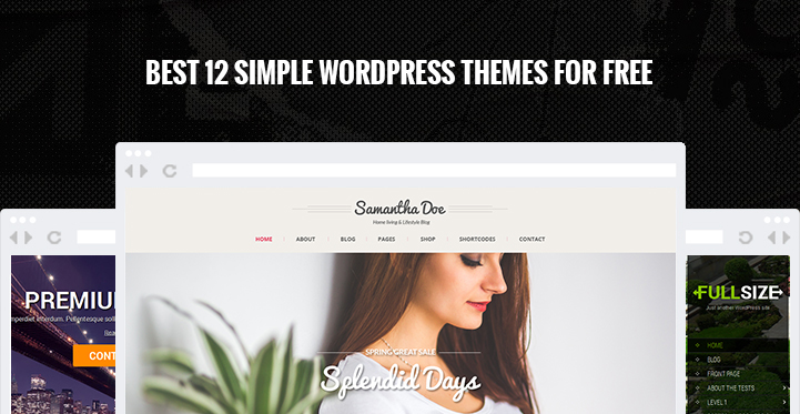 Teme WordPress simple gratuit