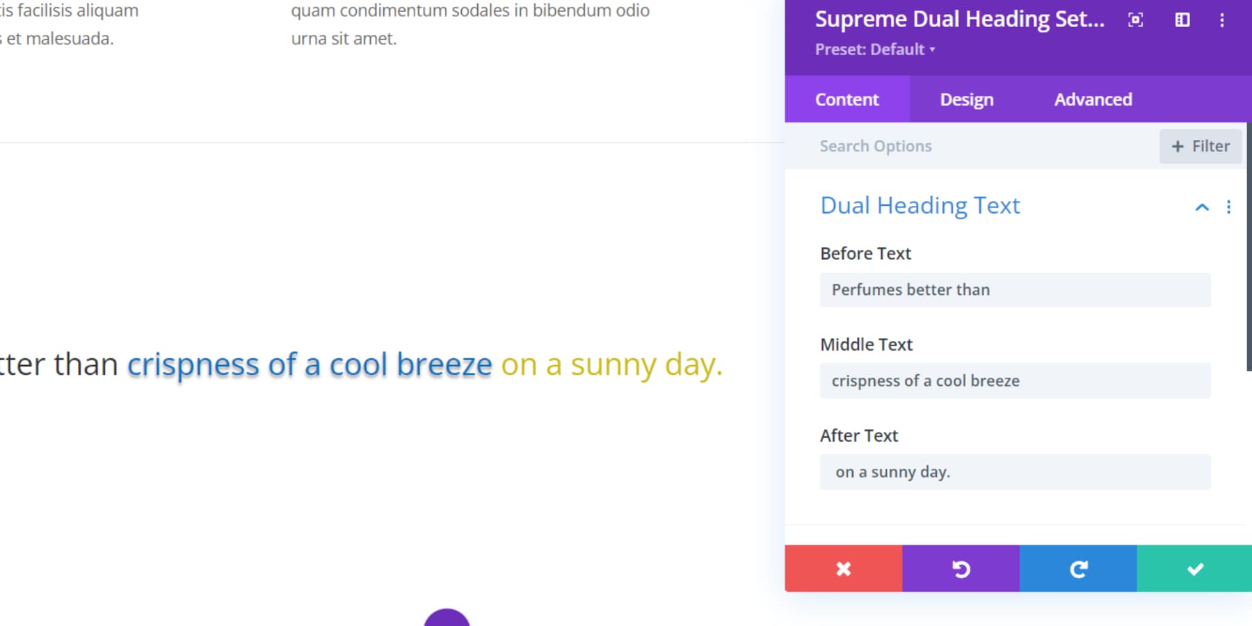 Divi Supreme Pro 双标题设置截图