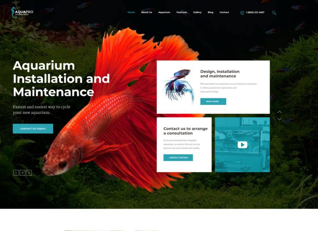 AquaPro - Thème WordPress pour aquariums et services d'entretien + boutique 