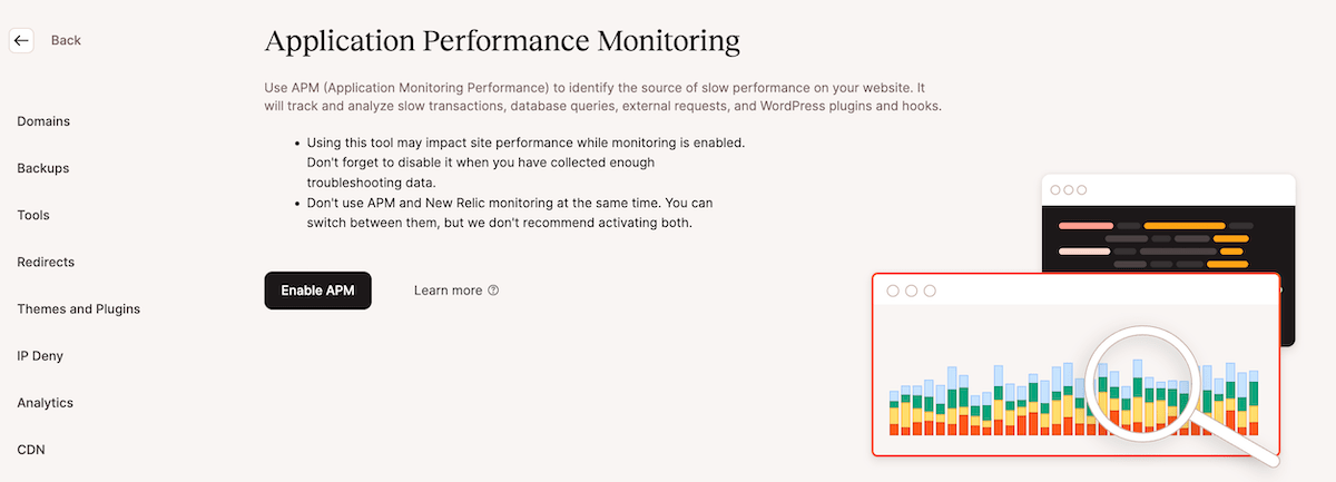 Kinsta APM