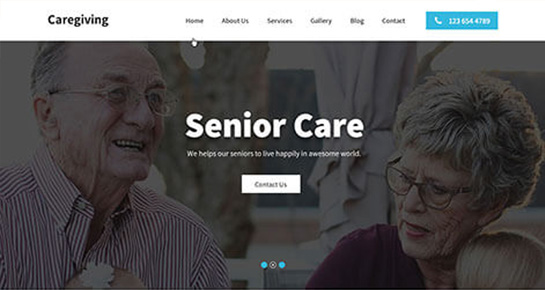 Tema WordPress pentru îngrijirea seniorilor